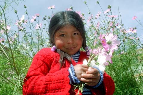 Sponsorship School, Ejercito Nacional: 6 year-old Sisy Choque Salinas with flowers from Save the Children planted flower garden at her school. She is in the first grade. released