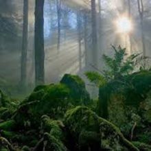From Darkness to Light