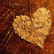 Conversation with My Heart